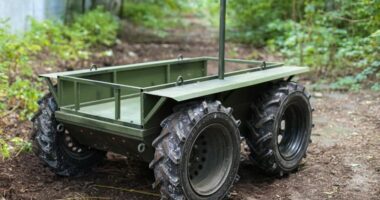 Targan unmanned ground robotic complex in October 2024