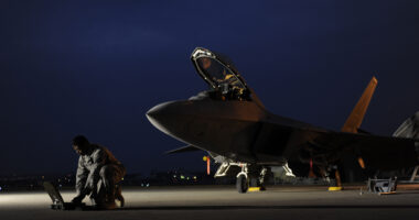 U.S. Air Force Airman 1st Class Aaron Tate enters data into his portable maintenance computer in front of an F-22A Raptor aircraft at Kadena Air Base, Japan, on Jan. 21, 2009. Tate and the jet are deployed from the 27th Fighter Squadron at Langley Air Force Base, Va. (DoD photo by Master Sgt. Andy Dunaway, U.S. Air Force. (Released))