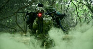 VISAKHAPATNAM, Andhra Pradesh, India (April 4, 2025) U.S. Army Soldiers assigned to Bayonet Company, 1st Battalion, 5th Infantry Regiment, 1st Infantry Brigade Combat Team, 11th Airborne Division, and Indian Army Soldiers, under the command of Col. Yash Agrawal and assigned to the 4/8 Gurkha Rifles Infantry Battalion, 91st Infantry Brigade, conduct field evacuation training during Exercise Tiger Triumph near Visakhapatnam, India, April 4, 2025. Tiger Triumph is a joint and combined U.S.-India exercise focused on humanitarian assistance and disaster response readiness, and interoperability. The exercise enables U.S. and Indian armed forces to improve interoperability and bilateral, joint, and service readiness in the Indian Ocean region and beyond to support a free and open Indo-Pacific. (Courtesy of Indian Army)