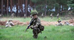 British Army soldiers conducting a field training exercise in a wooded area.